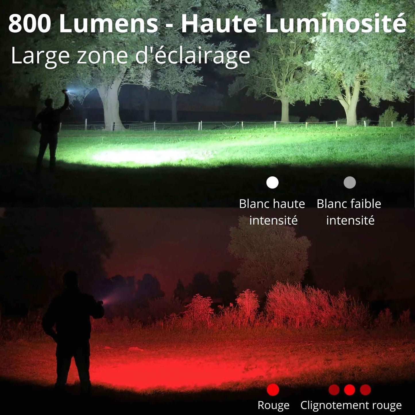 Lampe LED portable, décapsuleur et lumière de camping ✨